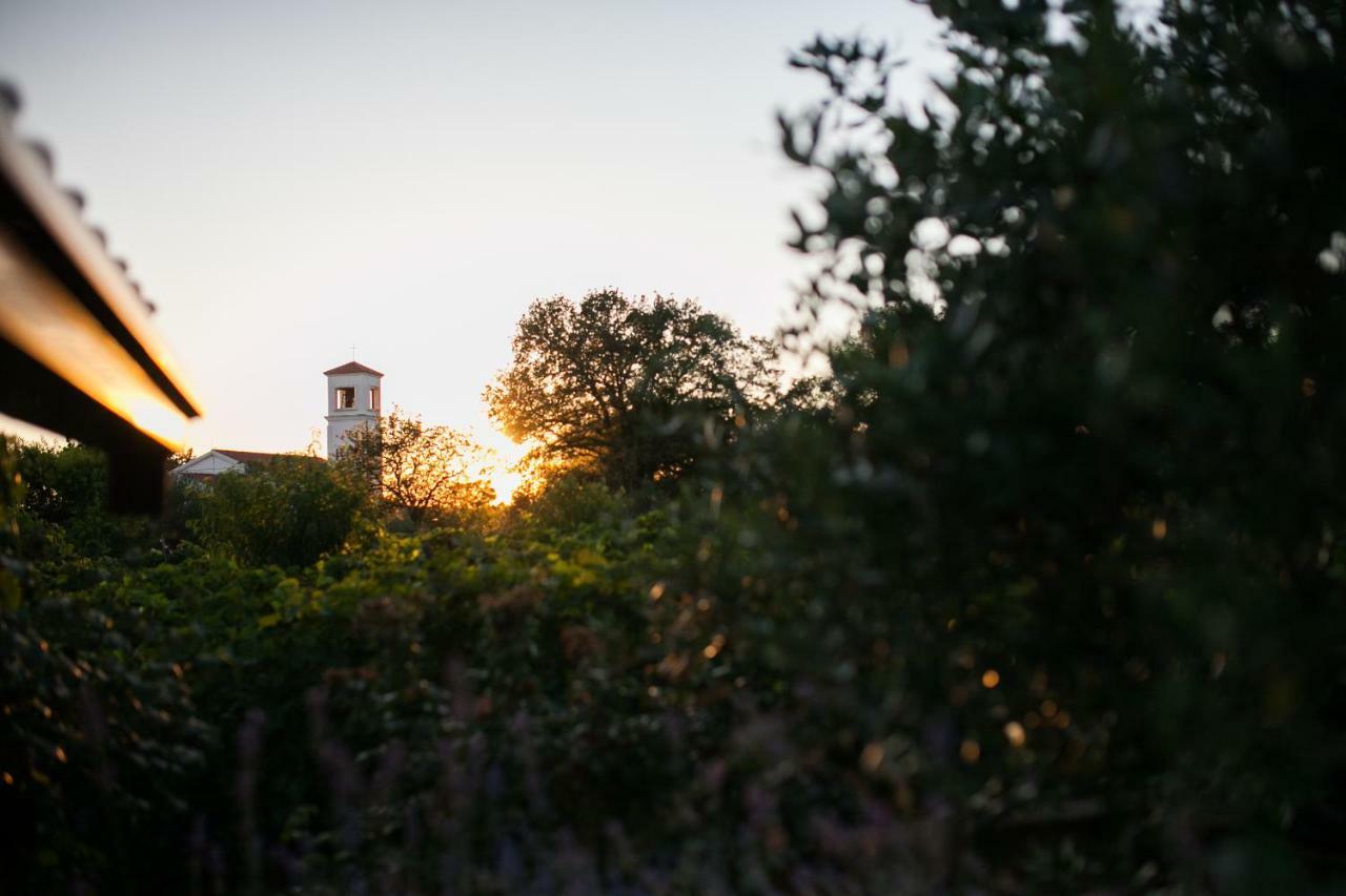 Holiday Home Antonio Dracevac Ninski Bagian luar foto